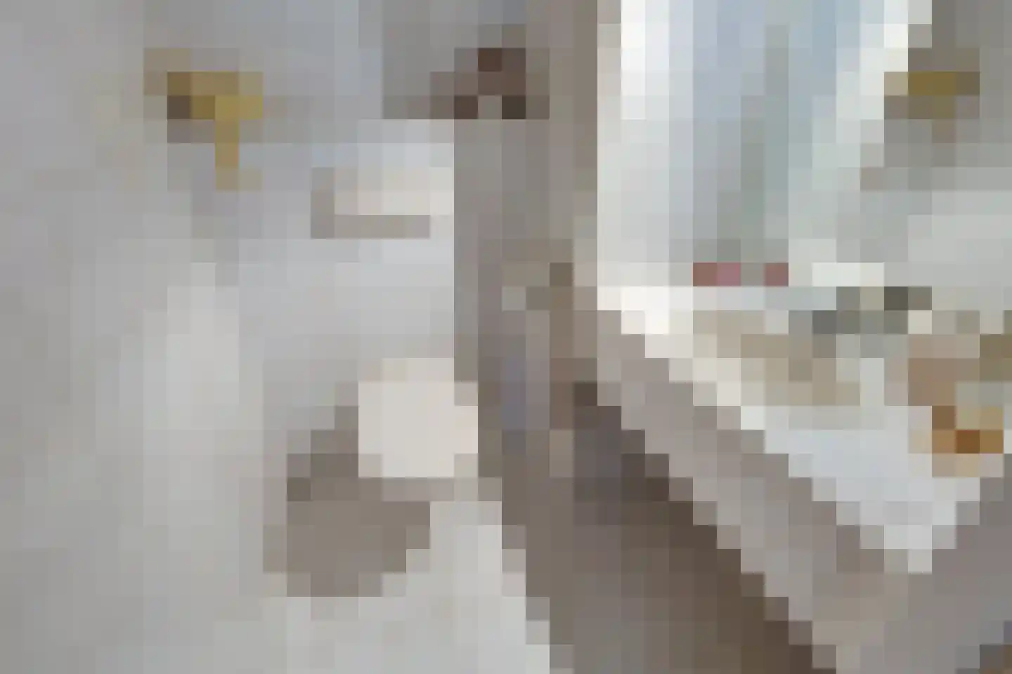 Sterrenlaan 43 Bleiswijk thumbnail 8