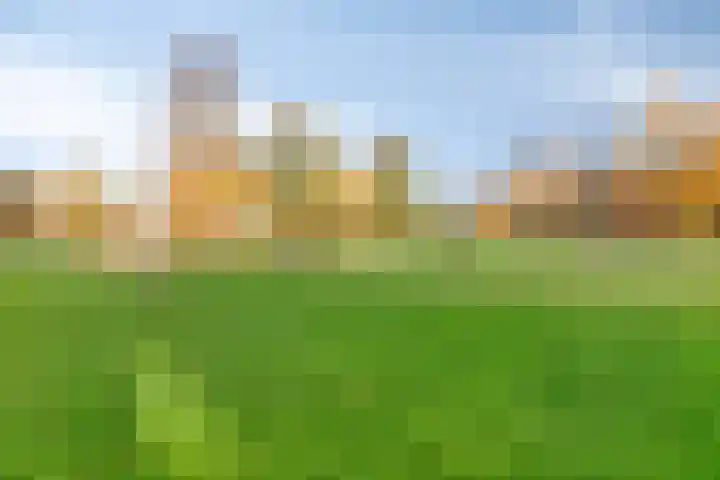 Sterrenlaan 6 Puttershoek thumbnail 22