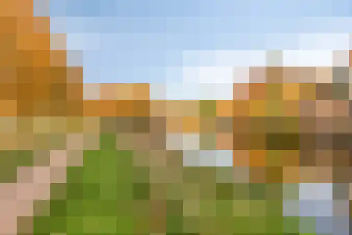 Sterrenlaan 6 Puttershoek thumbnail 23