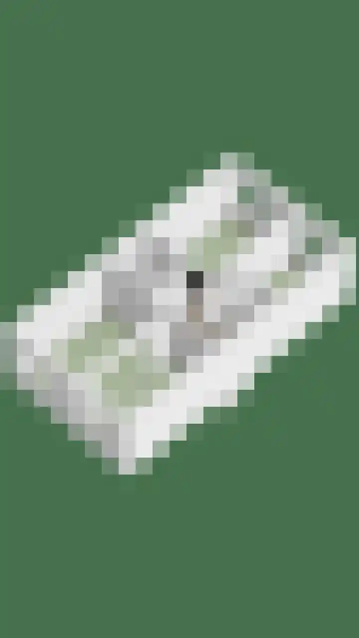 Sterrenlaan 6 Puttershoek thumbnail 31