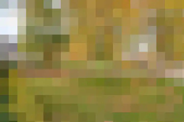 Sterrenlaan 6 Puttershoek thumbnail 4