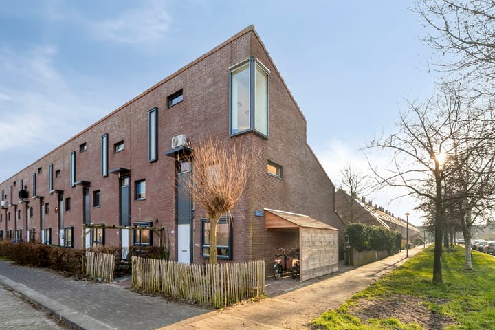 Sterrenmos 54 in Zwolle