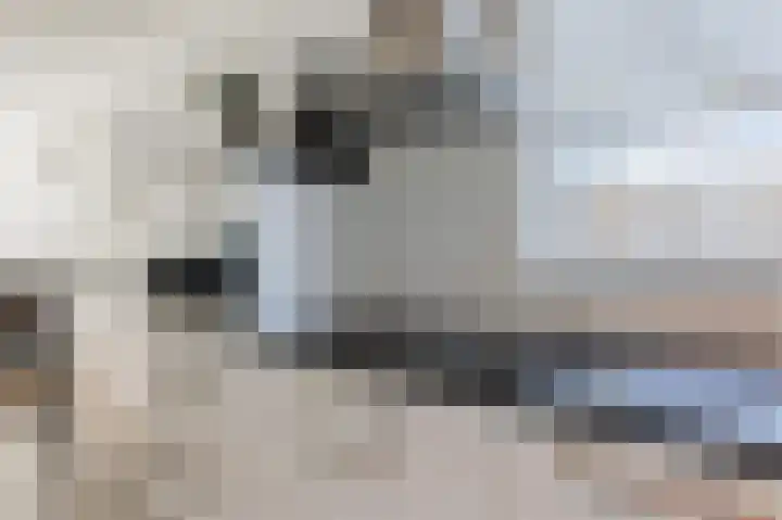 Sterrenzand 6 Deest thumbnail 11