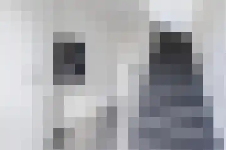 Sterrenzand 6 Deest thumbnail 14