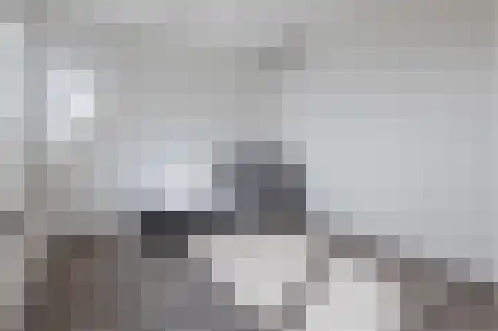 Sterrenzand 6 Deest thumbnail 23