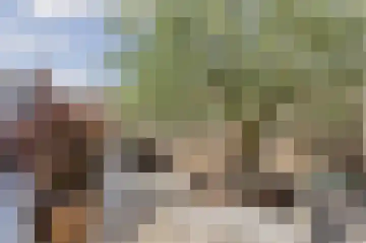 Sterrenzand 6 Deest thumbnail 36