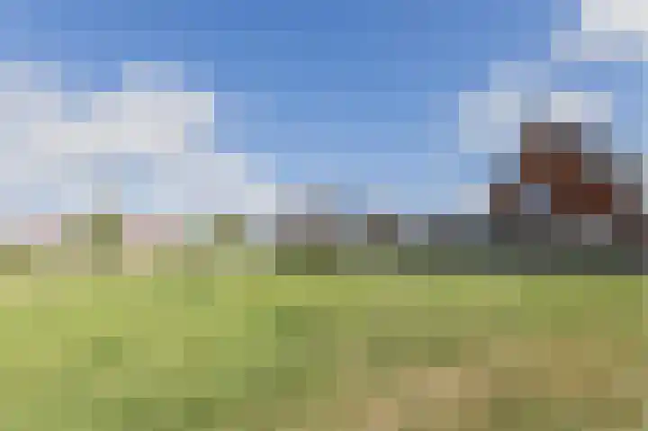 Sterrenzand 6 Deest thumbnail 41