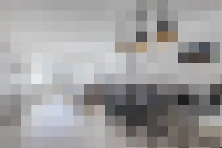 Sterrenzand 6 Deest thumbnail 6