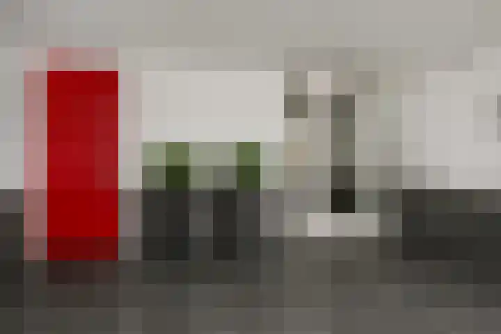 Sterreschans 599 Oegstgeest thumbnail 10