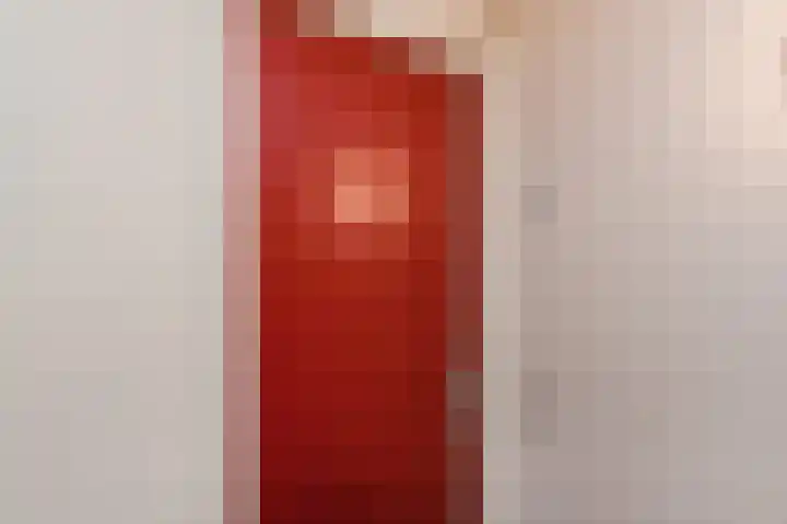 Sterreschans 599 Oegstgeest thumbnail 12