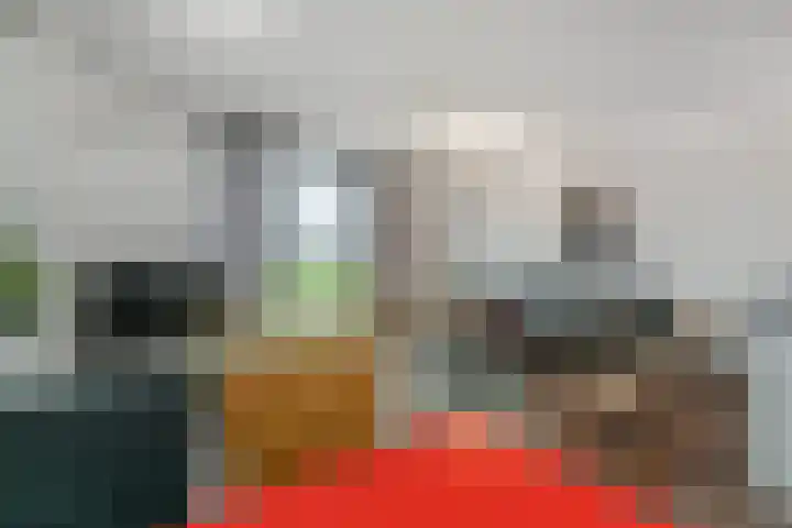 Sterreschans 599 Oegstgeest thumbnail 15