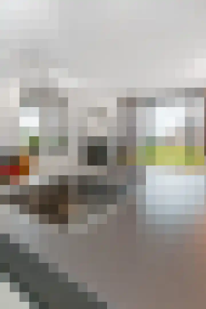 Sterreschans 599 Oegstgeest thumbnail 29