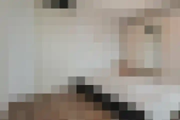 Sterreschans 599 Oegstgeest thumbnail 33