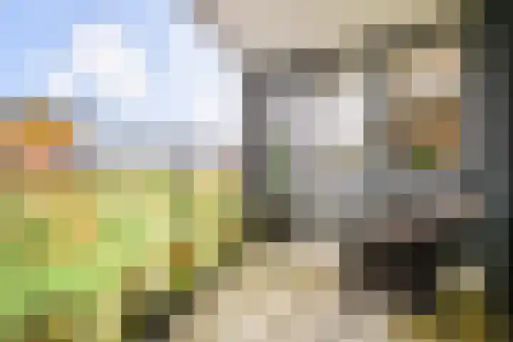 Sterreschans 599 Oegstgeest thumbnail 36