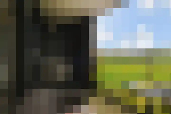 Sterreschans 599 Oegstgeest thumbnail 39