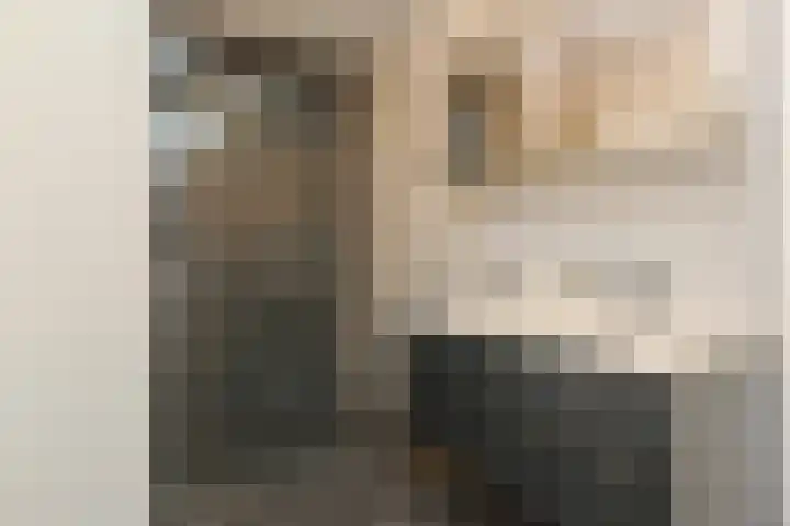 Sterreschans 599 Oegstgeest thumbnail 43