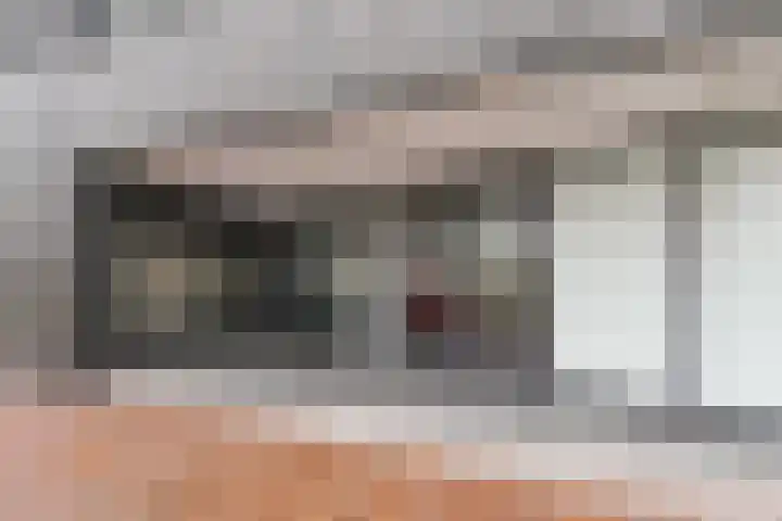 Sterreschans 599 Oegstgeest thumbnail 9