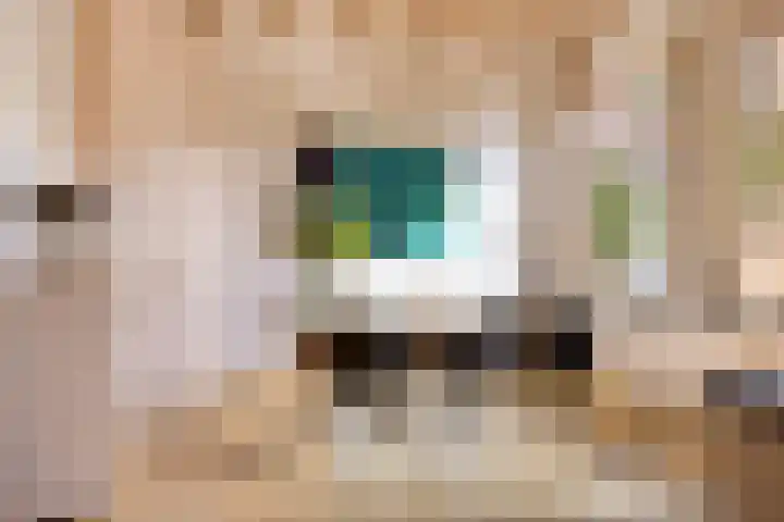 Sterrestraat 8 Heusden thumbnail 15