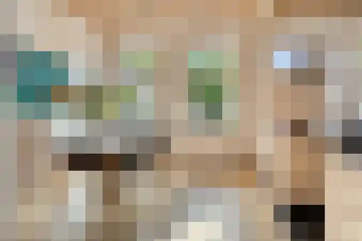 Sterrestraat 8 Heusden thumbnail 17