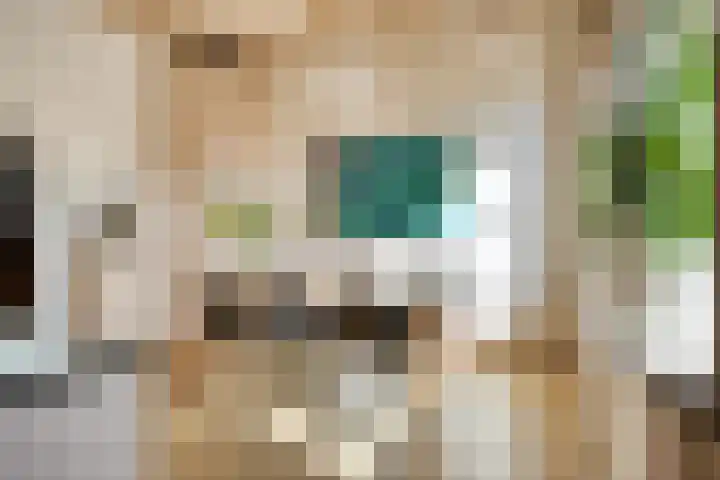 Sterrestraat 8 Heusden thumbnail 18