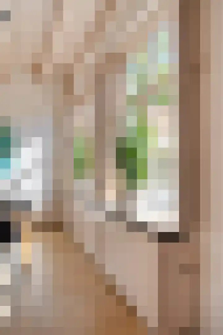 Sterrestraat 8 Heusden thumbnail 19