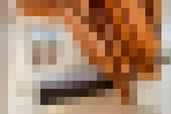 Sterrestraat 8 Heusden thumbnail 23