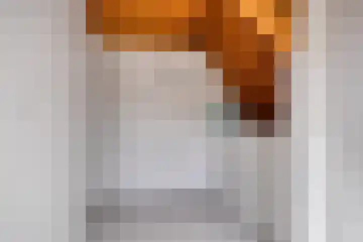 Sterrestraat 8 Heusden thumbnail 26