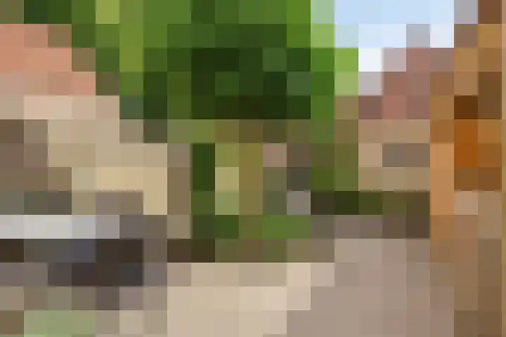 Sterrestraat 8 Heusden thumbnail 35