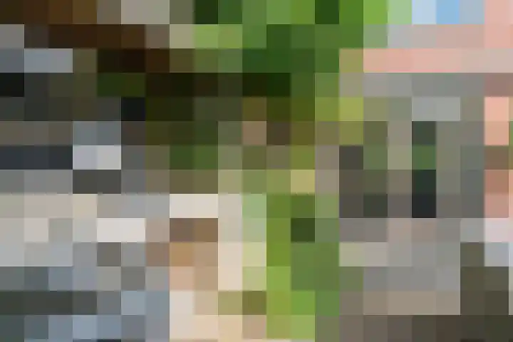 Steurstraat 21 Helmond thumbnail 37