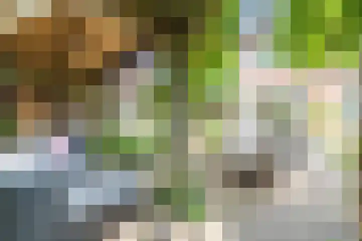 Steurstraat 21 Helmond thumbnail 40