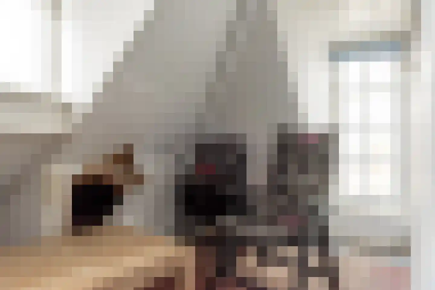 Stevenshoek 7 Langweer thumbnail 16