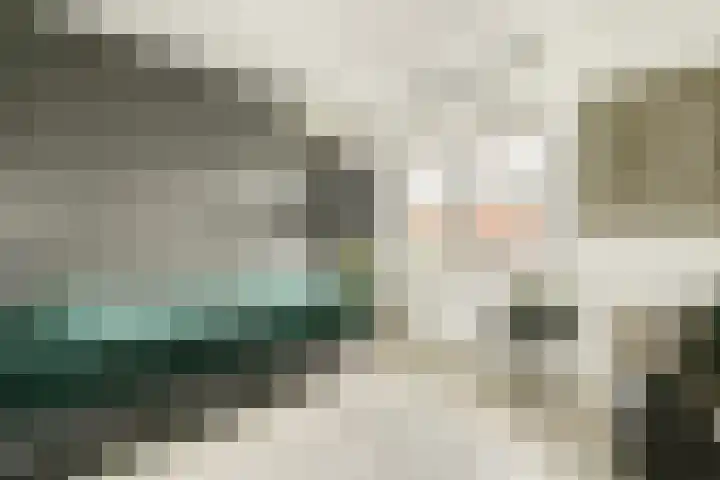 Stevenshof 30 Dordrecht thumbnail 38