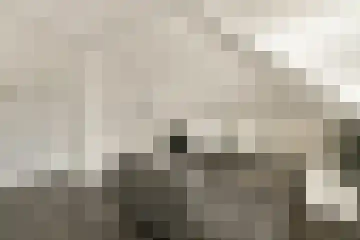 Stevenshof 30 Dordrecht thumbnail 42