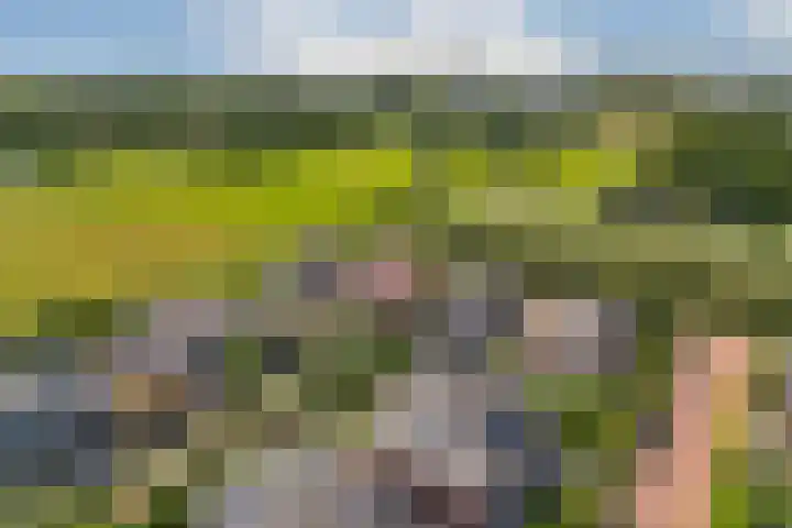 Stevenshof 30 Dordrecht thumbnail 47