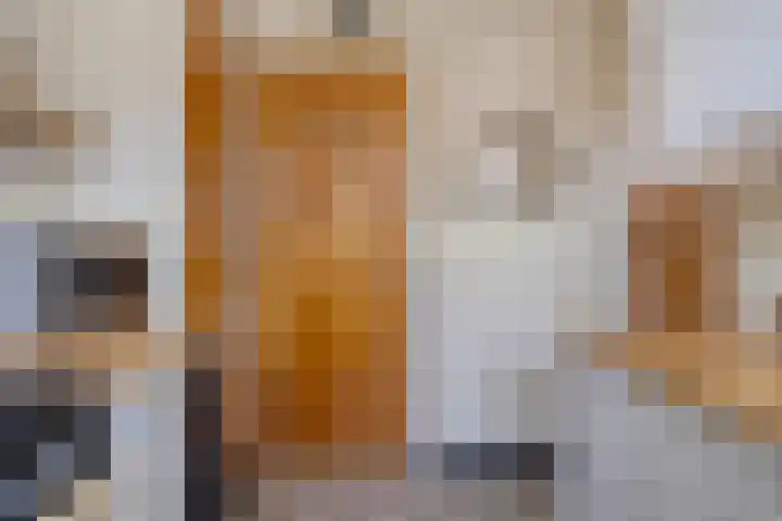 Stevensstraat 23 Sas van Gent thumbnail 10