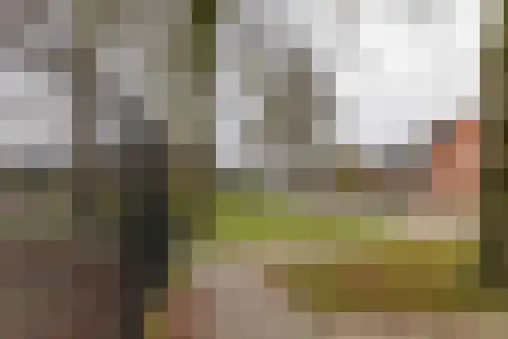 Logo van Steverink makelaars