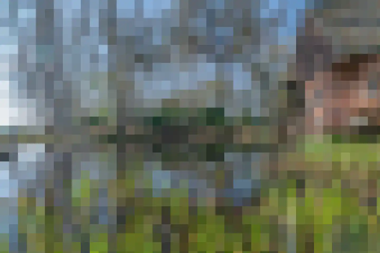 Stevert 35 Steensel thumbnail 8