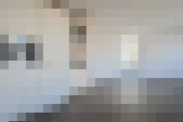 Stevinhof 30 Kudelstaart thumbnail 6