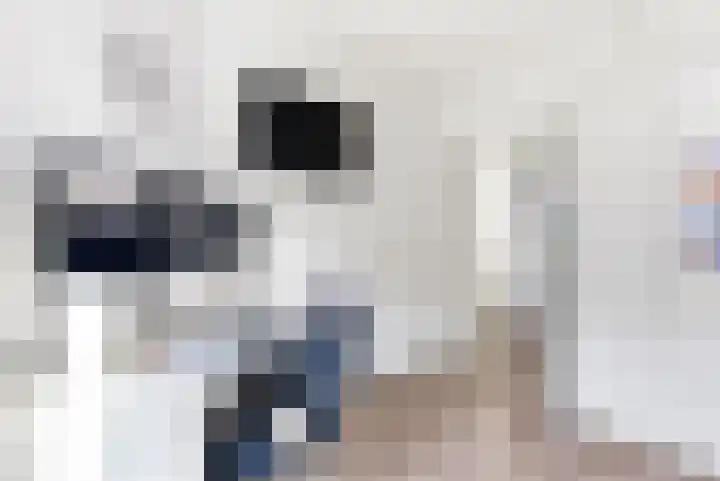 Stevinhof 34 A Zeewolde thumbnail 19