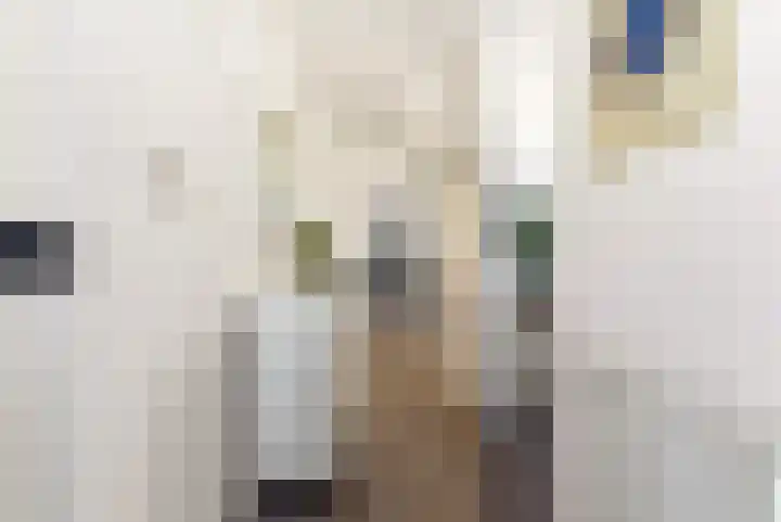 Stevinhof 34 A Zeewolde thumbnail 5