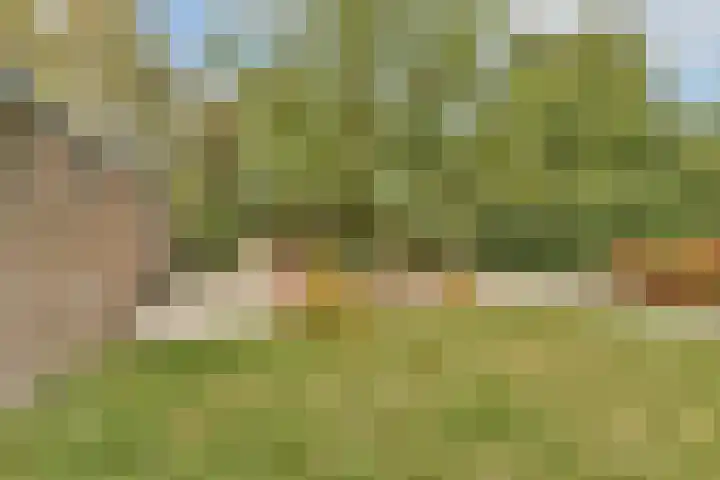Stevinstraat 21 Badhoevedorp foto 2