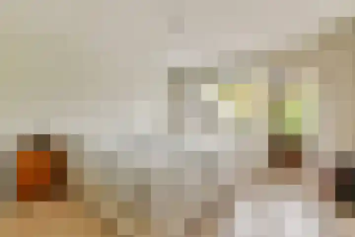 Stevinstraat 21 Badhoevedorp thumbnail 22