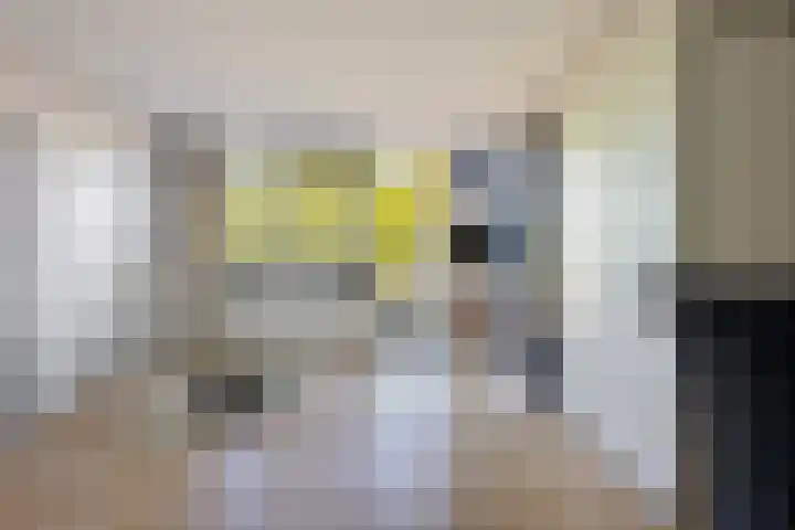 Stevinstraat 21 Badhoevedorp thumbnail 24