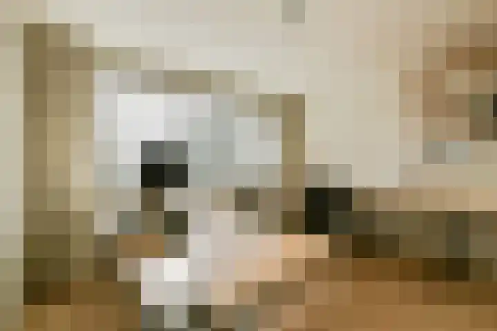 Stevinstraat 21 Badhoevedorp thumbnail 24