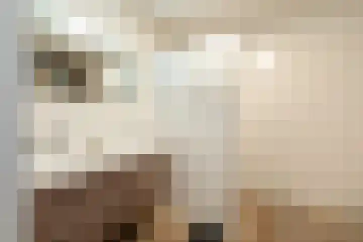Stevinstraat 21 Badhoevedorp thumbnail 28