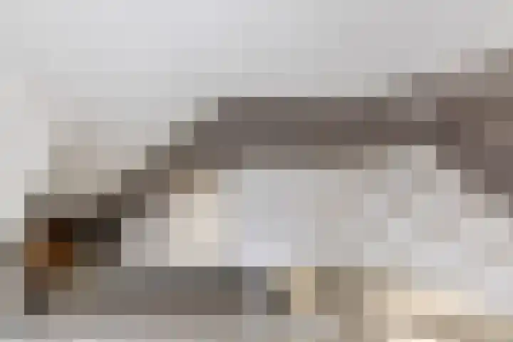 Stevinstraat 21 Badhoevedorp foto 3