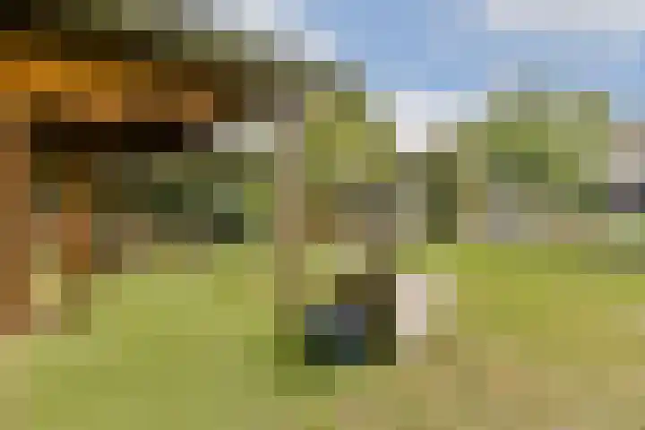 Stevinstraat 21 Badhoevedorp foto 3