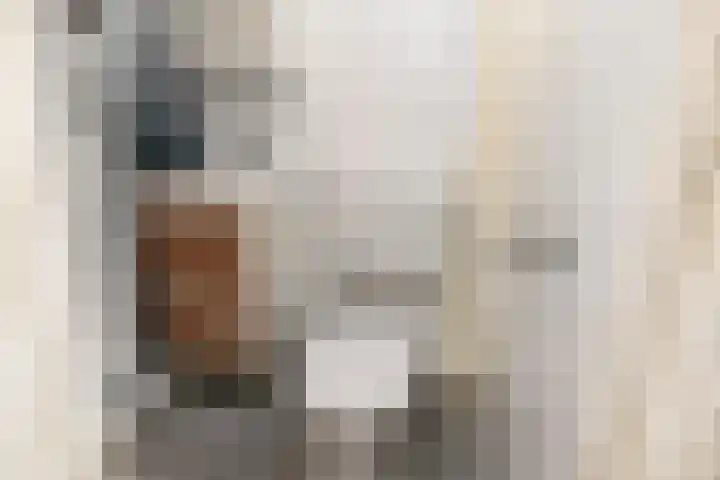 Stevinstraat 26 Den Haag thumbnail 20