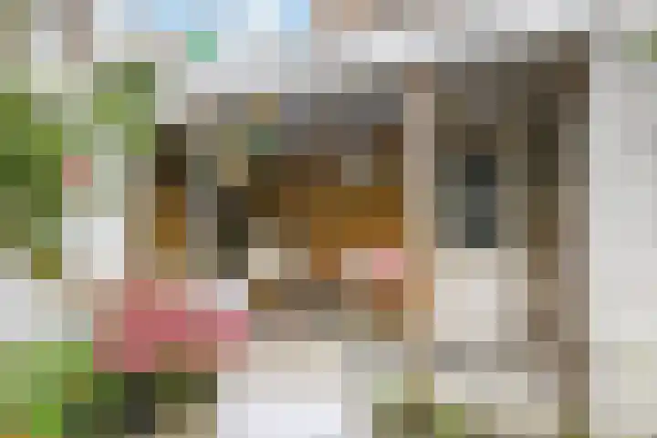 Stevinstraat 26 Den Haag thumbnail 22