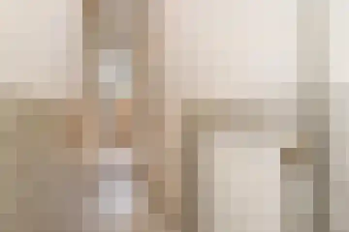 Stevinstraat 26 Den Haag thumbnail 27
